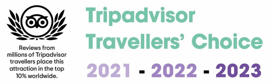 trip-gabe-2022-4